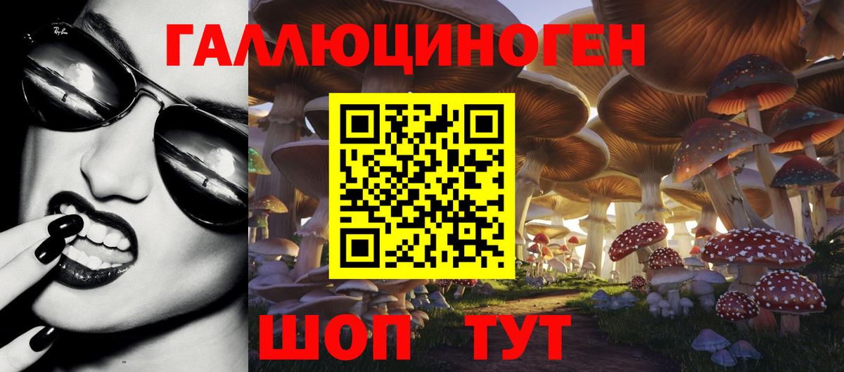 Псилоцибиновые грибы мухоморы Саянск